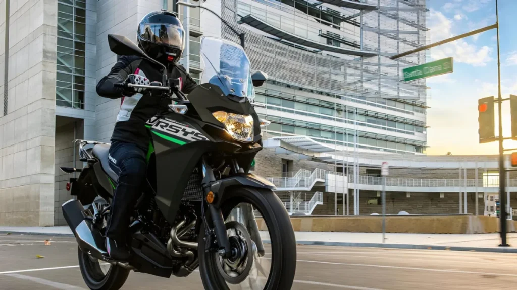 Kawasaki Versys-X 300 Look
